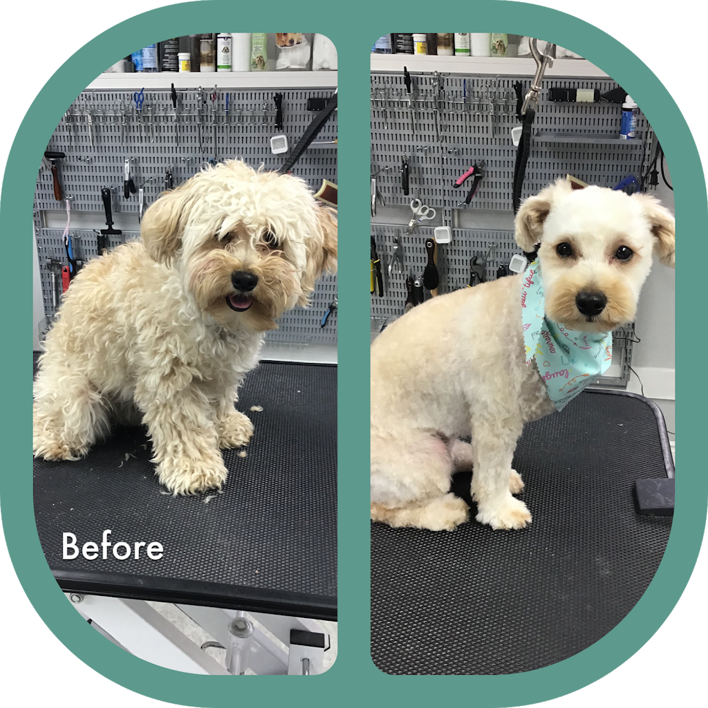 Bark N Beauties Dog Grooming Salon | 35661 Maguire Rd, Ailsa Craig, ON N0M 1A0, Canada | Phone: (519) 228-6861