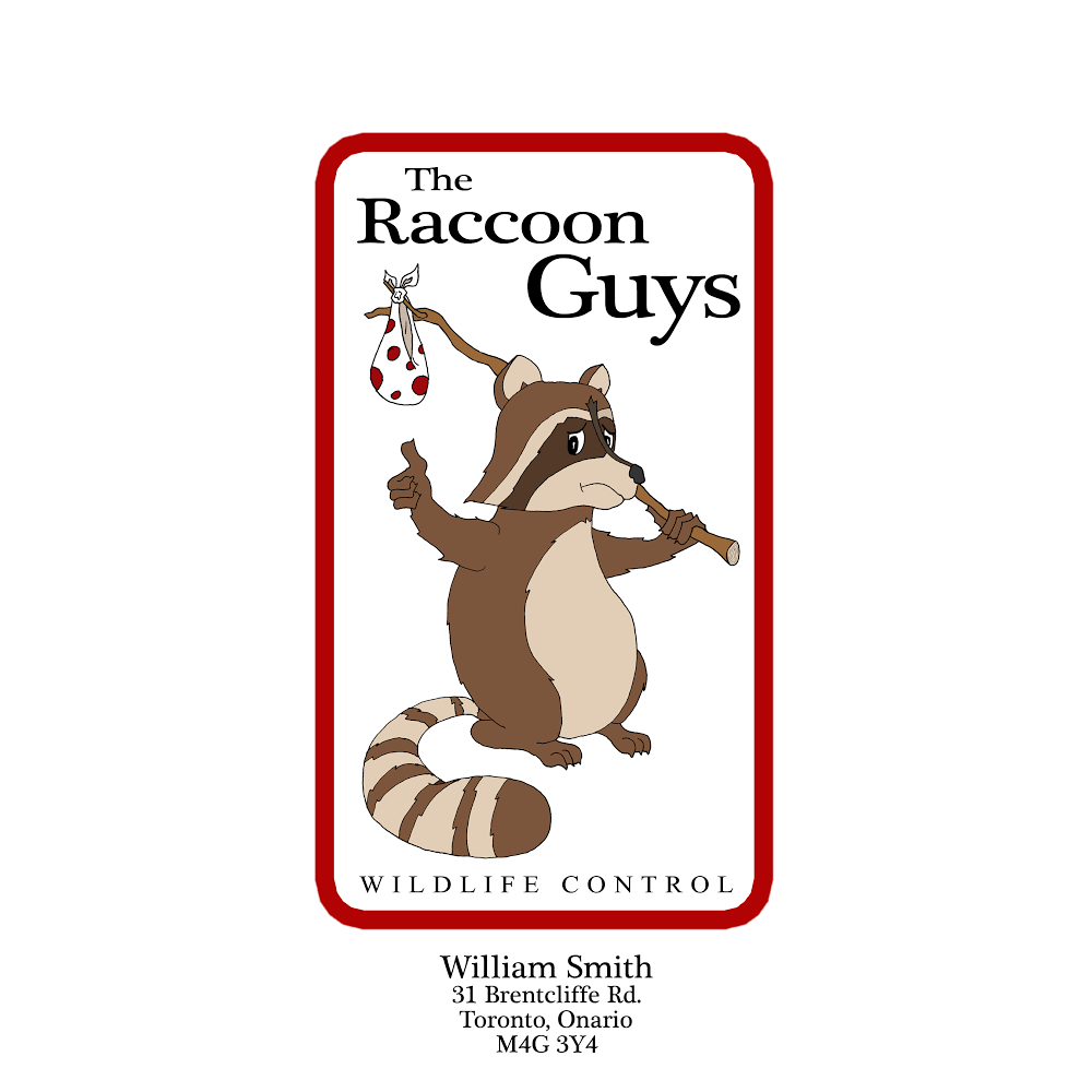 The Raccoon Guys | 31 Brentcliffe Rd, East York, ON M4G 3Y4, Canada | Phone: (647) 938-1917