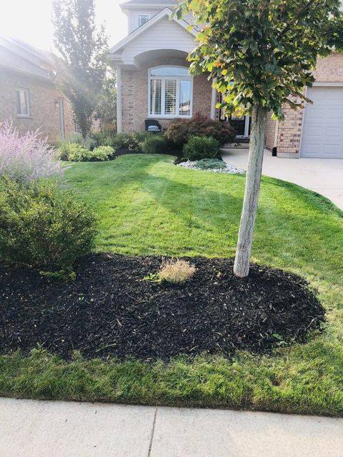 Precision Lawn Care | 1 Sheba Crescent, Port Colborne, ON L3K 5M4, Canada | Phone: (289) 821-2884