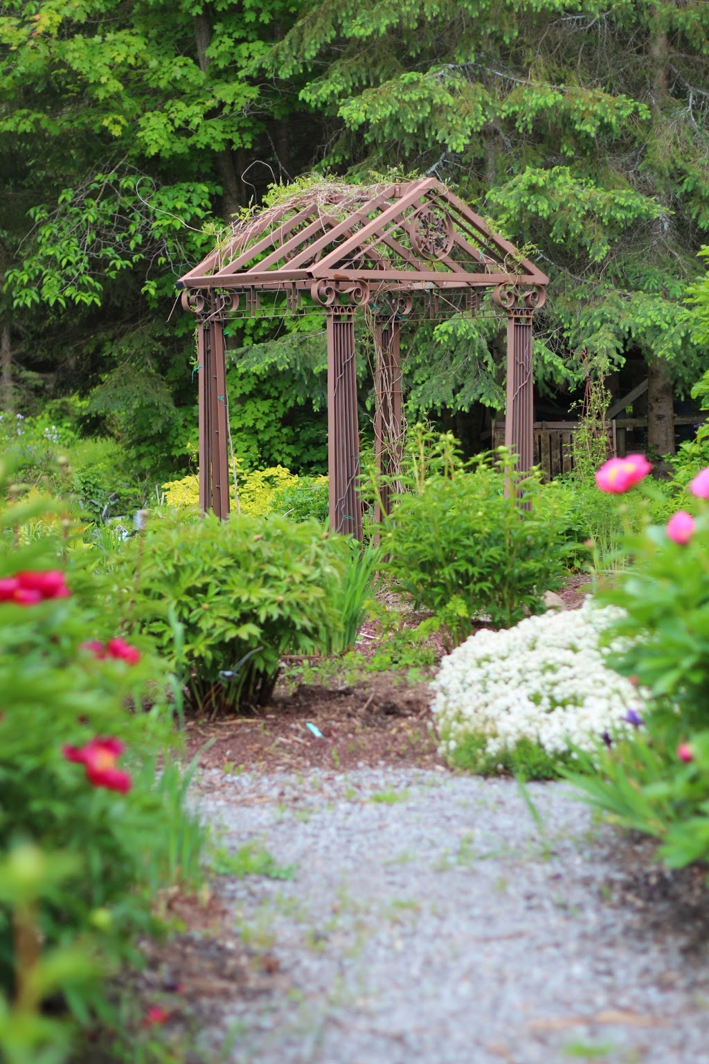 Whitehouse Perennials & Display Gardens | 594 Rae Rd, Almonte, ON K0A 1A0, Canada | Phone: (613) 256-3406