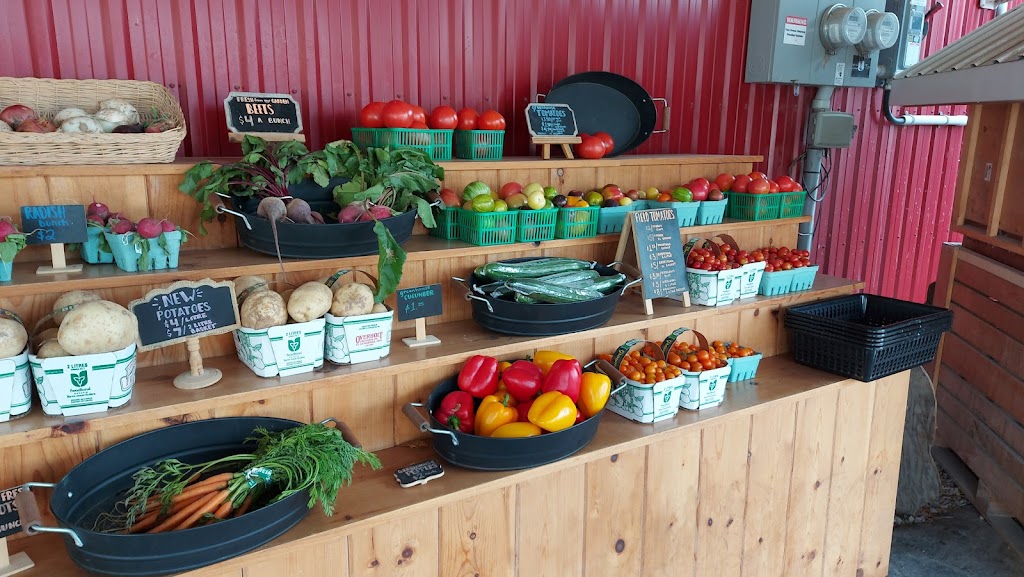 The Red Barn Farm Market and Bakery | Jordan Station, Lincoln, ON L0R 1S0, Canada | Phone: (905) 401-5249