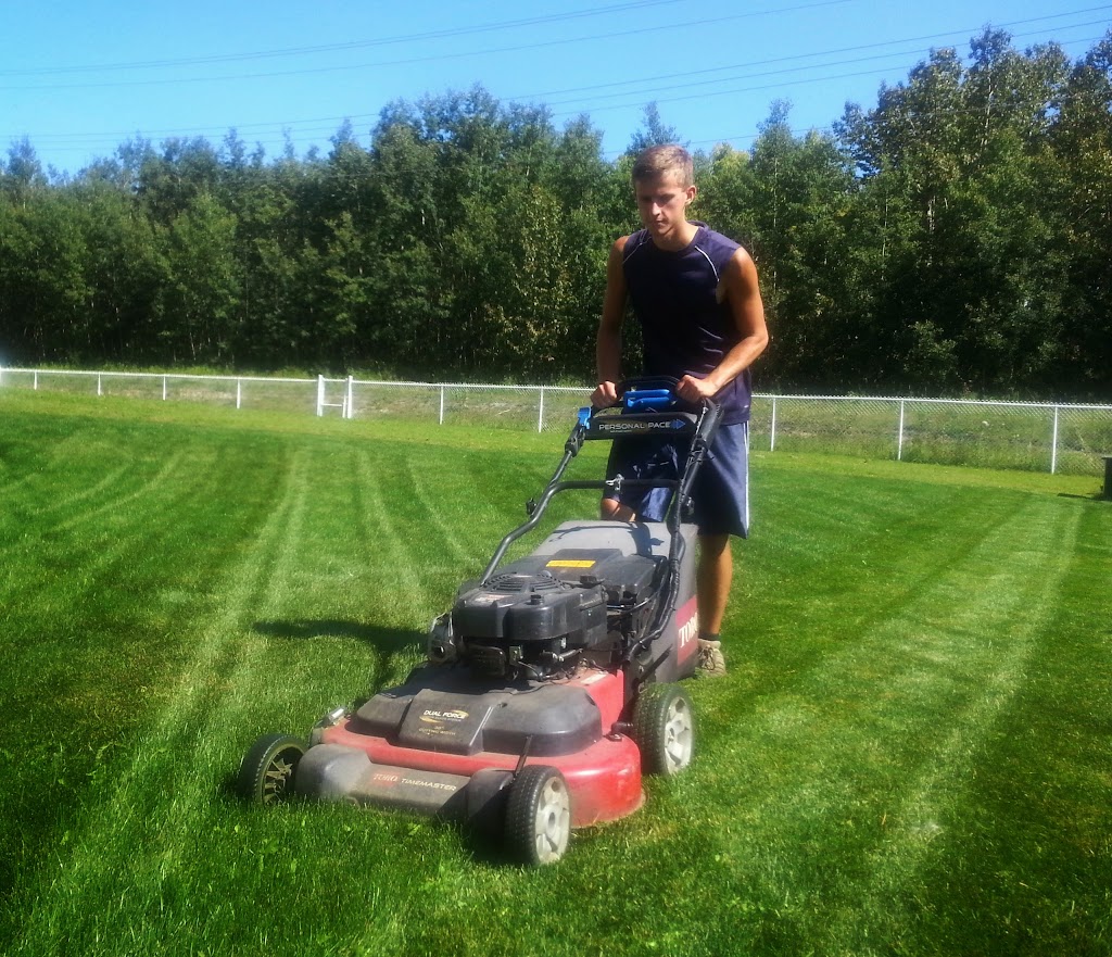 MOW VALUE LAWN CARE | 4 Selkirk Blvd, Red Deer, AB T4N 0G2, Canada | Phone: (403) 598-8826