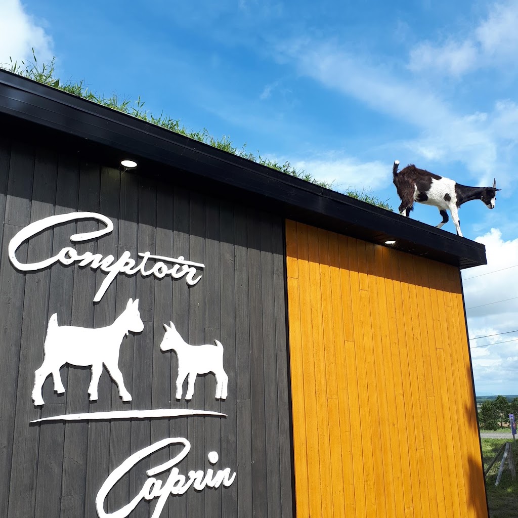 Ferme Caprijol Inc. | 184 1er Rang O, Saint-Gervais, QC G0R 3C0, Canada | Phone: (418) 887-6799