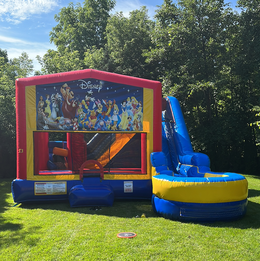 AdventureMania Inflatables | 934 Concession 4 W, Waterdown, ON L8B 1J9, Canada | Phone: (905) 864-3290