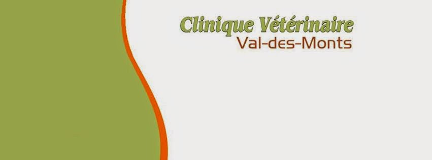 Clinique Vétérinaire Val-des-Monts Inc | 1797 route du Carrefour, Phase 2, Local B, Val-des-Monts, QC J8N 7M7, Canada | Phone: (819) 671-8383