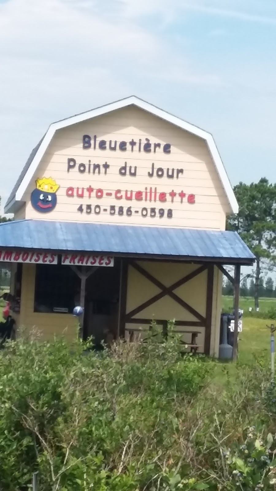 Bleuetière Point du Jour | 330 Rang Point-du-Jour S, Lavaltrie, QC J5T 3P4, Canada | Phone: (450) 586-0598