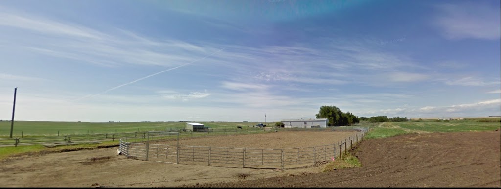 XL Mustang Ranch | 262071 Township 240, Cheadle, AB T0J 1X0, Canada | Phone: (403) 837-6835