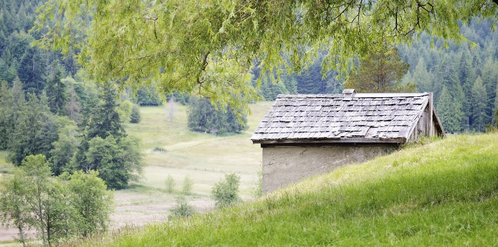 Salt Spring Seeds | 250 Toynbee Rd, Salt Spring Island, BC V8K 2W1, Canada | Phone: (250) 537-5269