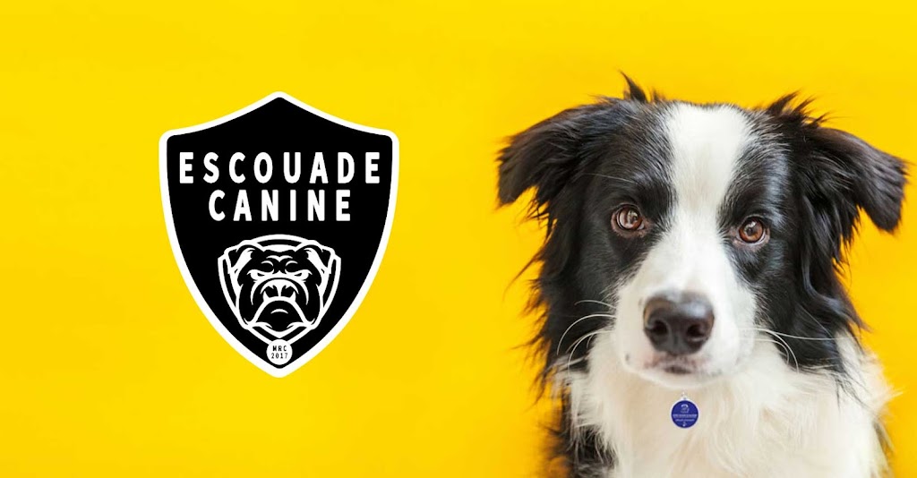 Escouade Canine MRC | 217 181e Rue porte 1, Beauceville, QC G5X 2S8, Canada | Phone: (418) 225-9203