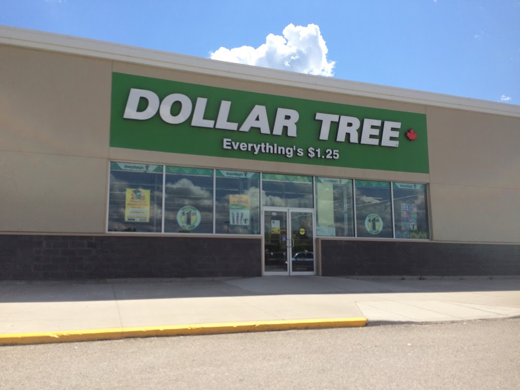 Dollar Tree | 900 Pine Rd #101b, Strathmore, AB T1P 0A2, Canada | Phone: (403) 901-0051