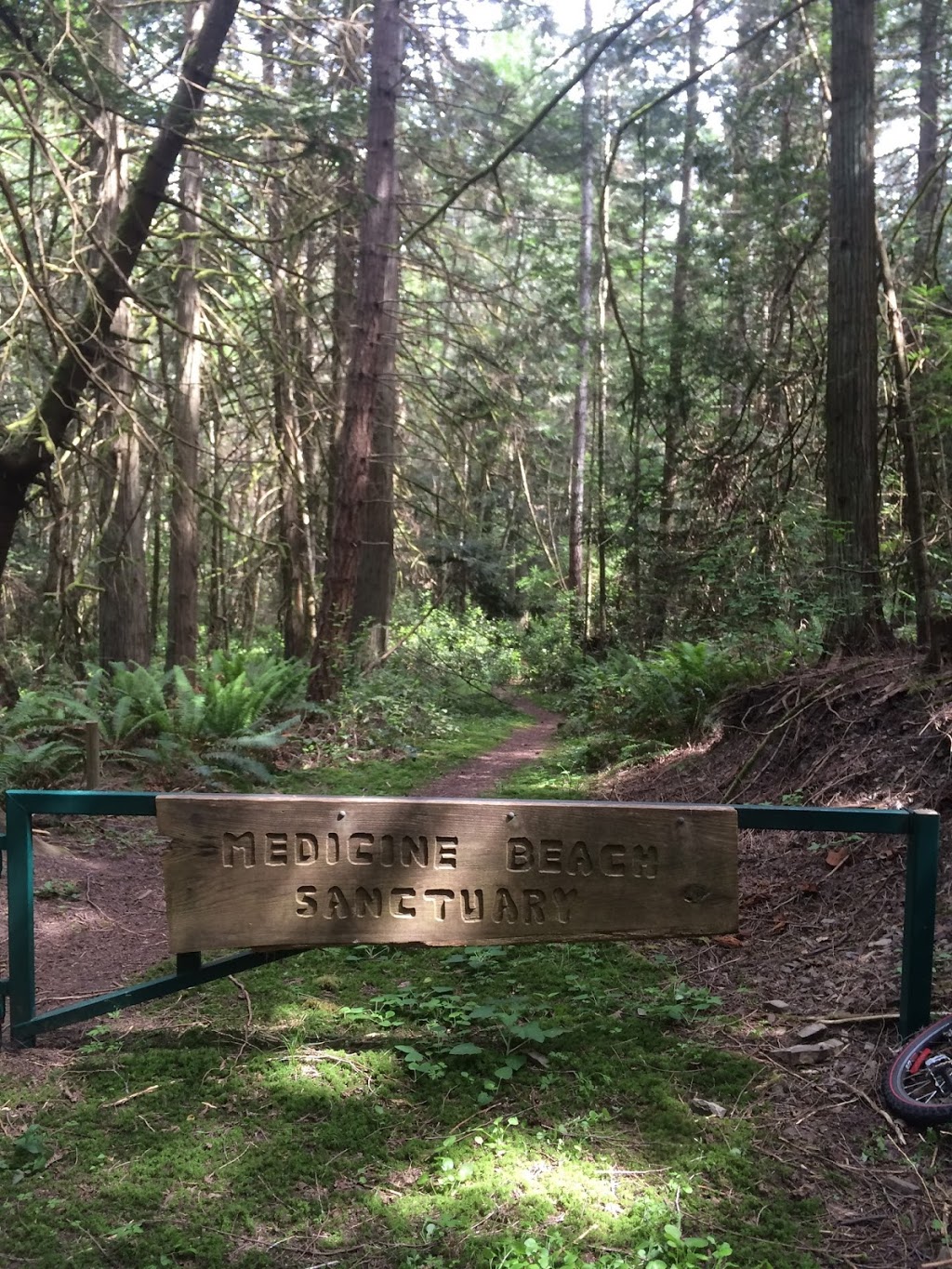 Medicine Beach Sanctuary | Pender Island, BC V0N 2M2, Canada