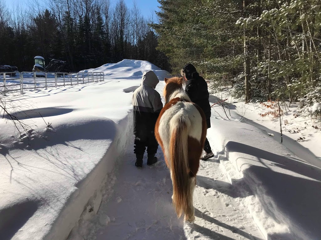 Zoothérapie Véro et ses animaux à Lanaudière | 1676 Chem. de la Côte Georges, Mascouche, QC J7K 3C2, Canada | Phone: (514) 863-5560