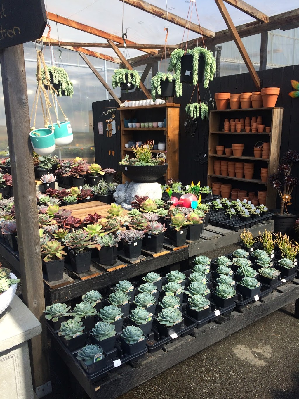 Western Independent Greenhouse: WIG Garden Centre | 6151 Thorne Ave, Burnaby, BC V3N 2T8, Canada | Phone: (604) 521-3138