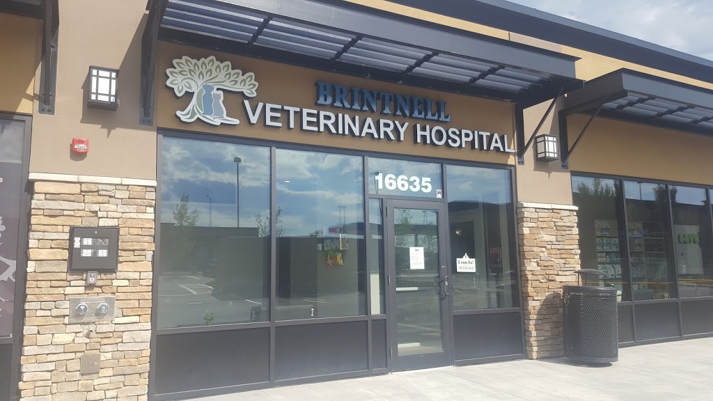 Brintnell Veterinary Hospital | 16635 50 St NW, Edmonton, AB T5Y 0S4, Canada | Phone: (780) 809-8508