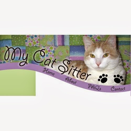 My Cat Sitter | 95 Caledonia Rd, Dartmouth, NS B2X 1K9, Canada | Phone: (902) 407-4074