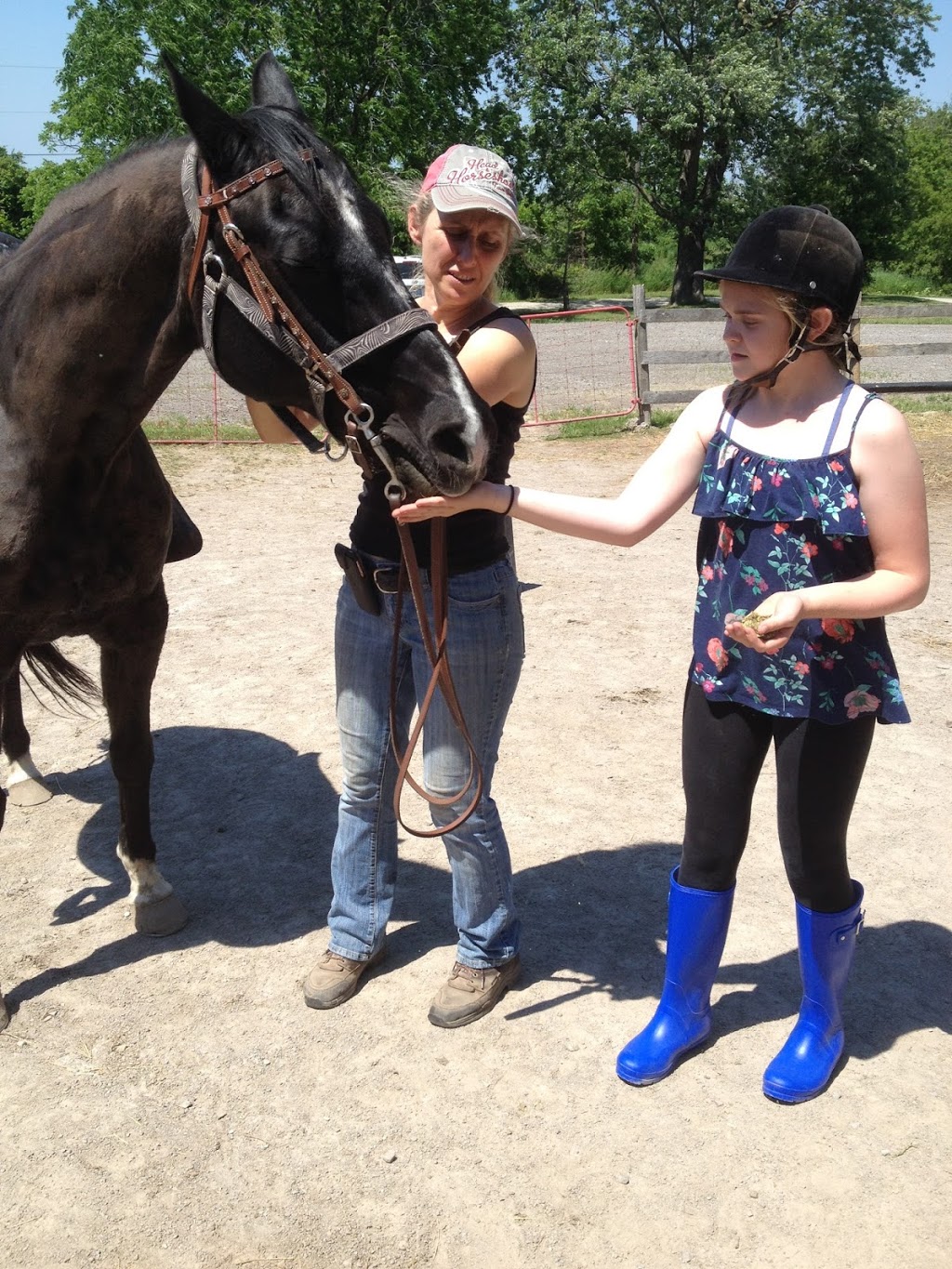 Niagara Riding Stables | 471 Warner Rd, Niagara-on-the-Lake, ON L0S 1J0, Canada | Phone: (905) 262-5101