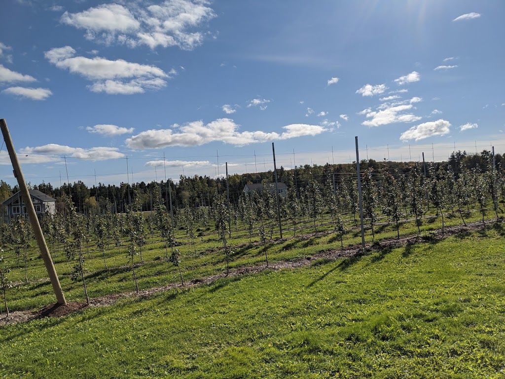 The Grove Orchard And U-Pick | 2100 PE-248, Warren Grove, PE C0A 1H5, Canada | Phone: (902) 628-7434