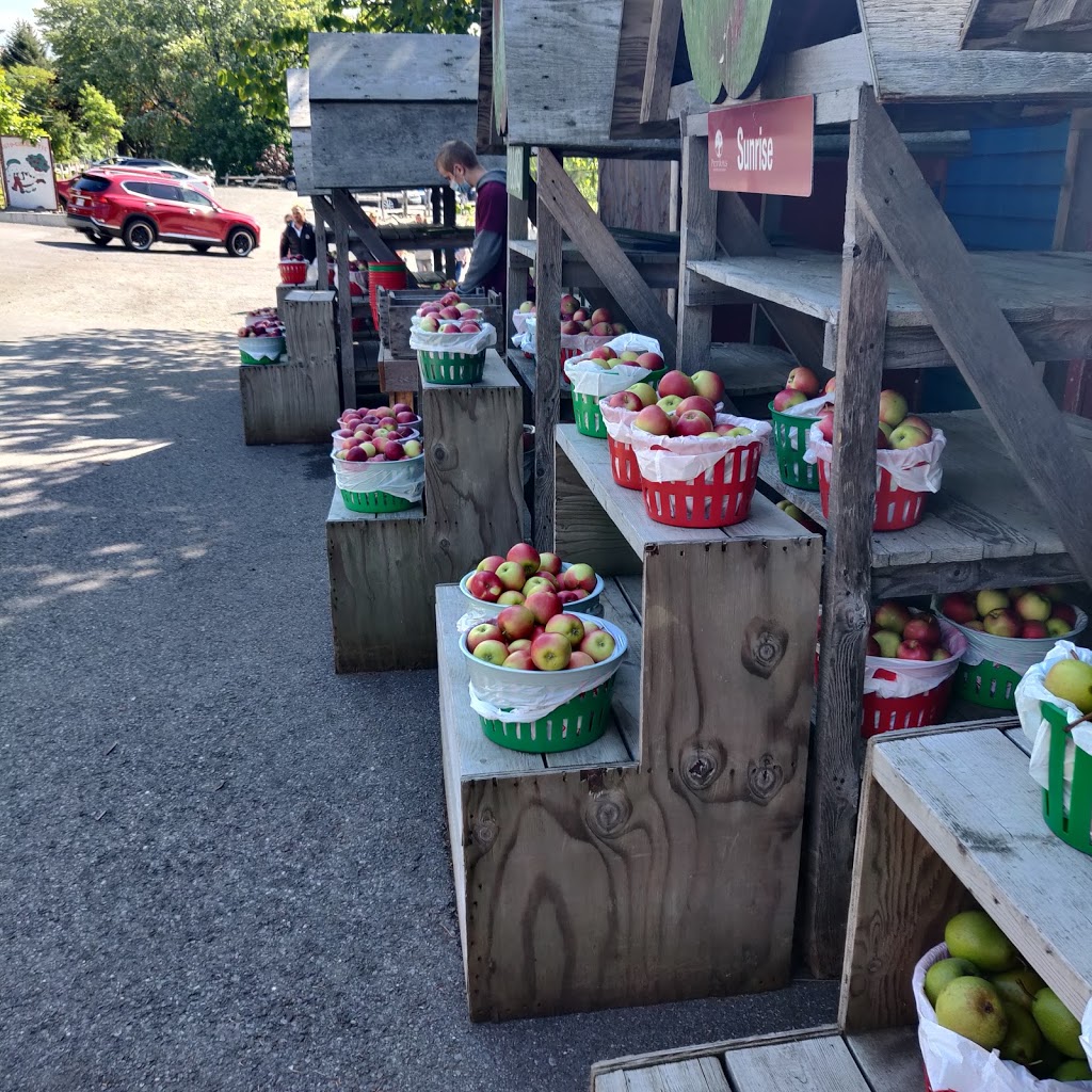 Petit and Son Cider Orchard | 1020 Chemin de la Montagne, Mont-Saint-Hilaire, QC J3G 4S6, Canada | Phone: (450) 467-9926