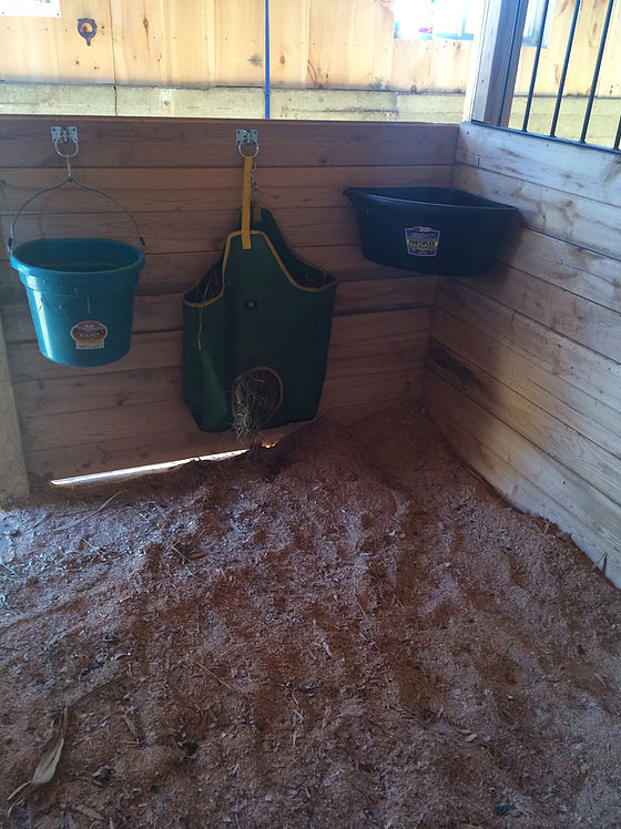 Maple Rock Stables | 5791 Line 89, Gowanstown, ON N0G 1Y0, Canada | Phone: (519) 292-9847