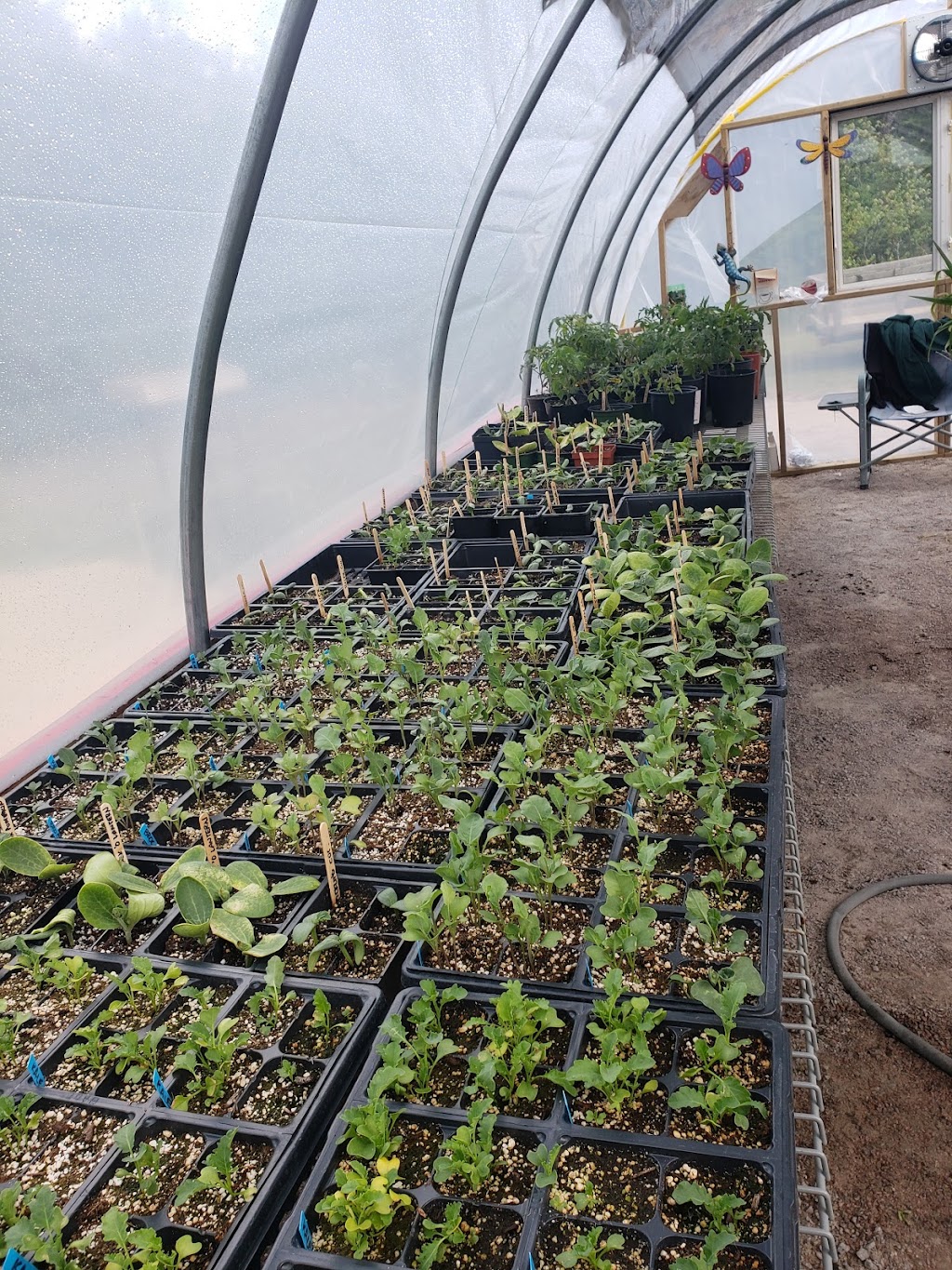 Gayles Greenhouse | 38123 Belair Rd, Bélair, MB R0E 0E0, Canada | Phone: (204) 619-2186