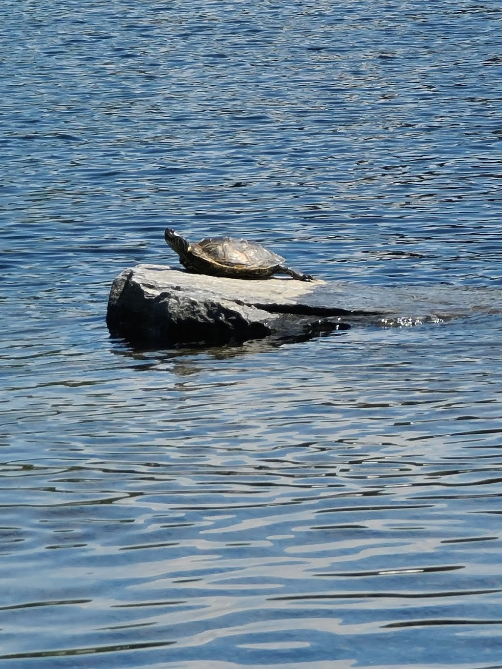 Point Pleasant Marina | 32 Point Pleasant Rd, Parry Sound, ON P2A 2X2, Canada | Phone: (705) 746-9671