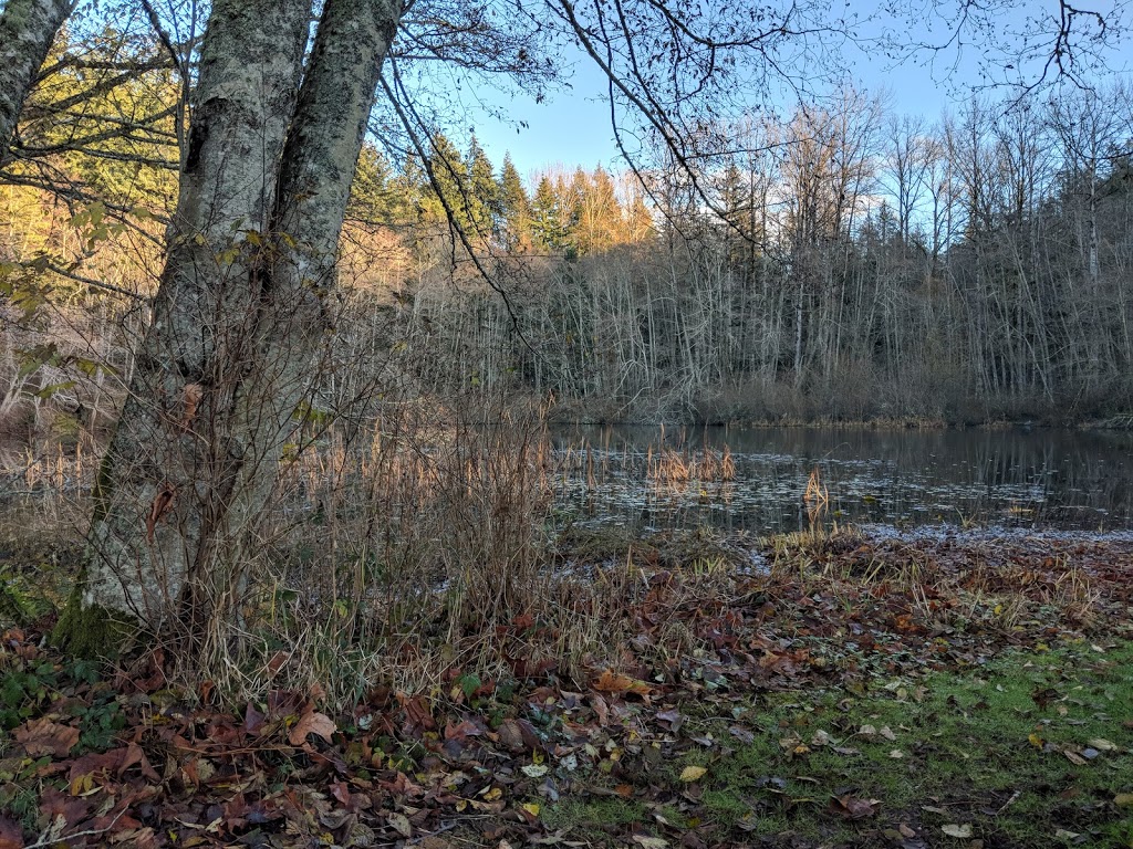 Hoags Pond | Broad St, Bellingham, WA 98225, USA