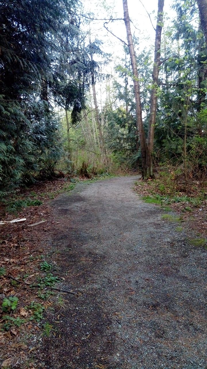 East View Trail Park | 7648 125 St, Surrey, BC V3W 7W4, Canada | Phone: (604) 552-9053