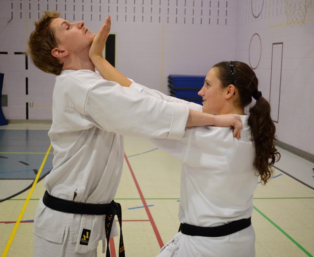 Karate Budo Kwai St-Jérome | 1155 Avenue du Parc, Saint-Jérôme, QC J7Z 6X6, Canada | Phone: (450) 431-1444