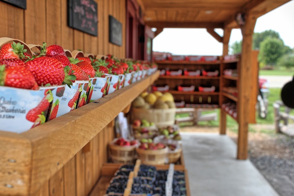 Gaétan Roy Strawberries | 1015 Chemin de Joliette, Lanoraie, QC J0K 1E0, Canada | Phone: (450) 887-0893