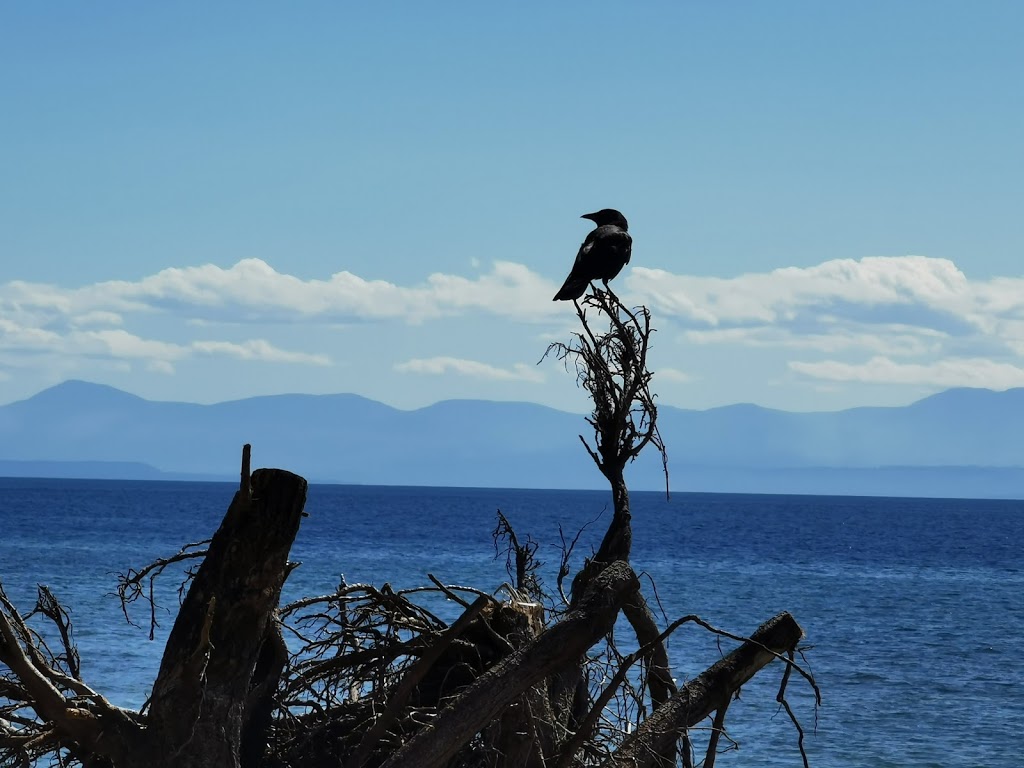 Davis Bay Beach | Sunshine Coast, BC V0N, Canada