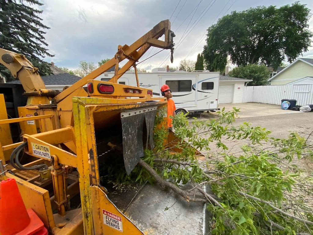 Alberta Arborists | 5480 Meridian St NW, Edmonton, AB T6P 1R3, Canada | Phone: (587) 415-7617