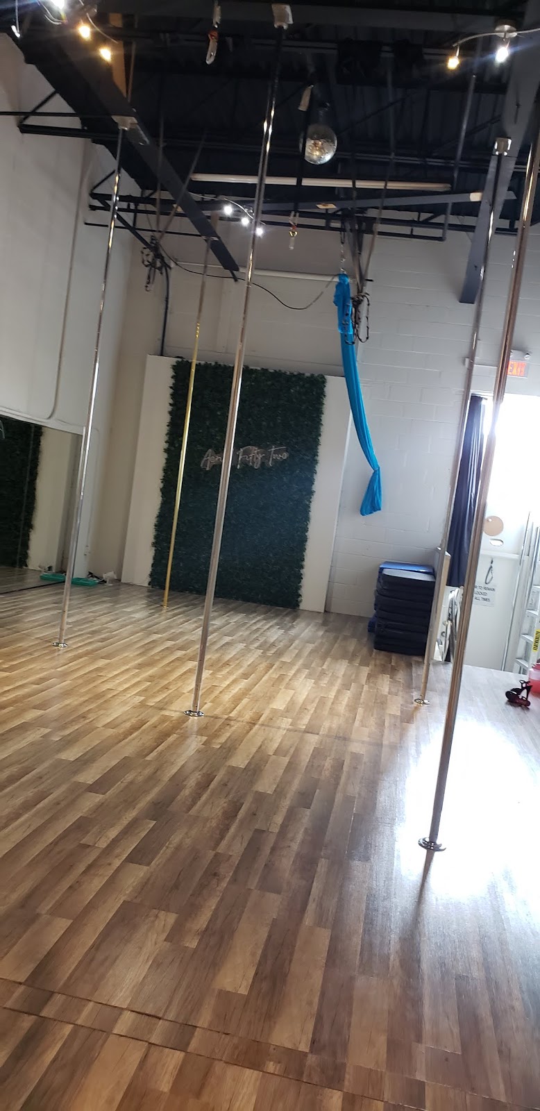 Aerial Fifty Two Pole Dancing Studio | 6810 Kitimat Rd Unit 18, Mississauga, ON L5N 5M2, Canada | Phone: (416) 671-2928