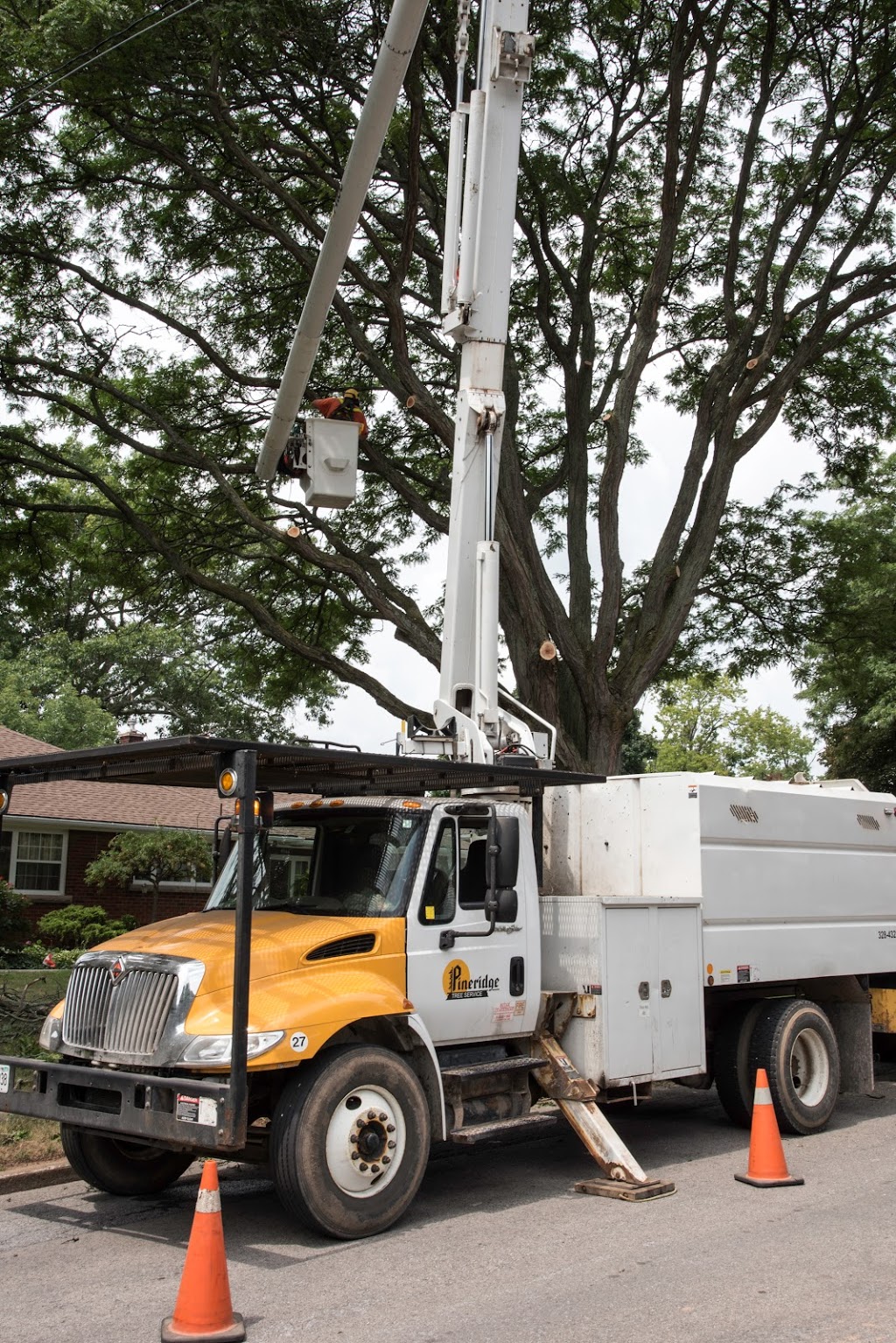 Pineridge Tree Service | 5917 Kister Rd, Niagara Falls, ON L2G 0B7, Canada | Phone: (905) 328-4323