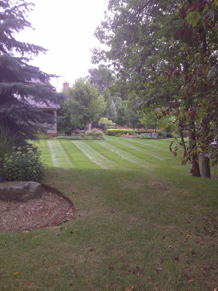 BJF Contracting - Lawn Care and Complete Property Maintenance | 408 Freelton Rd, Puslinch, ON N0B 2J0, Canada | Phone: (289) 259-1927