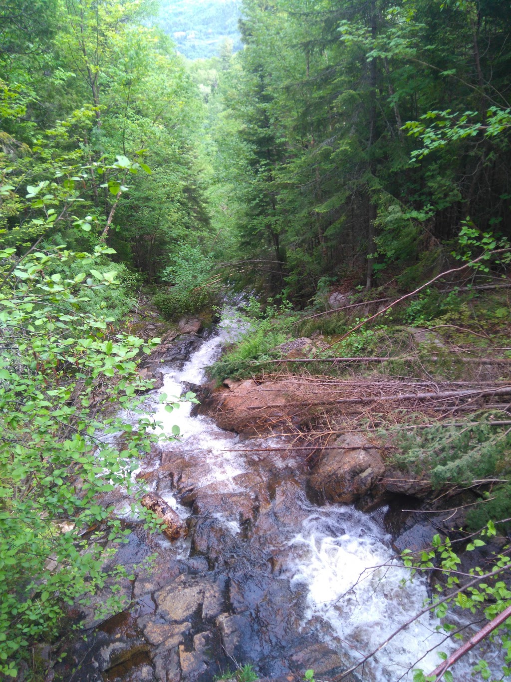 Réserve faunique des Laurentides | Route QC-175 Km 94, Sainte-Brigitte-de-Laval, QC G0A 3K0, Canada | Phone: (418) 528-6868