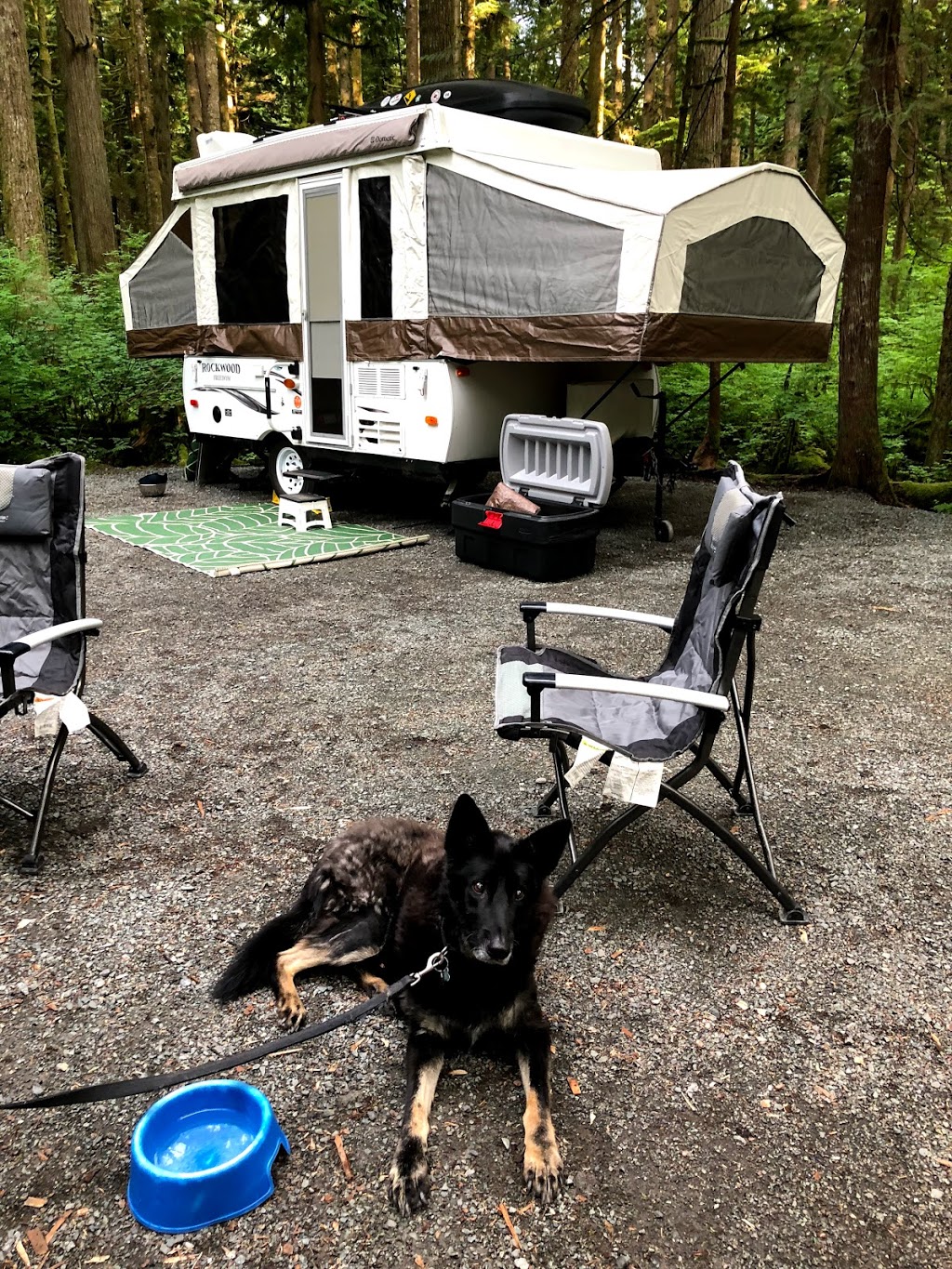 Rolley Lake Provincial Park Campground | Mission, BC V4S 1C6, Canada | Phone: (604) 466-8325