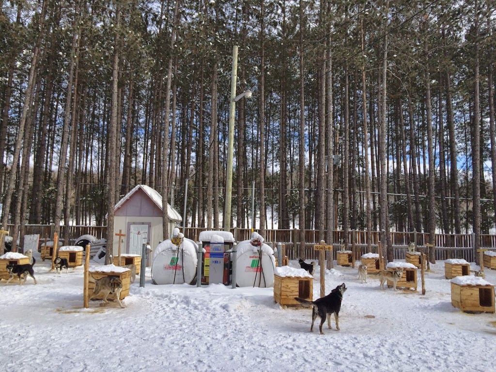 Mont-Tremblant Dogsledding | 121 Chemin de lAlbatros, Mont-Tremblant, QC J8E 1S1, Canada | Phone: (819) 681-5519