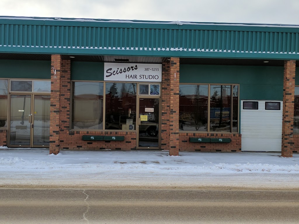 Scissors | 4816 50 St, Millet, AB T0C 1Z0, Canada | Phone: (780) 387-5255