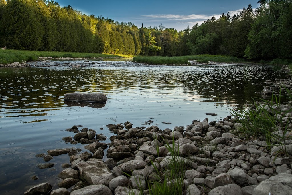 Nathan Masters Photography | East Garafraxa, ON L0N 1G0, Canada | Phone: (226) 203-3840