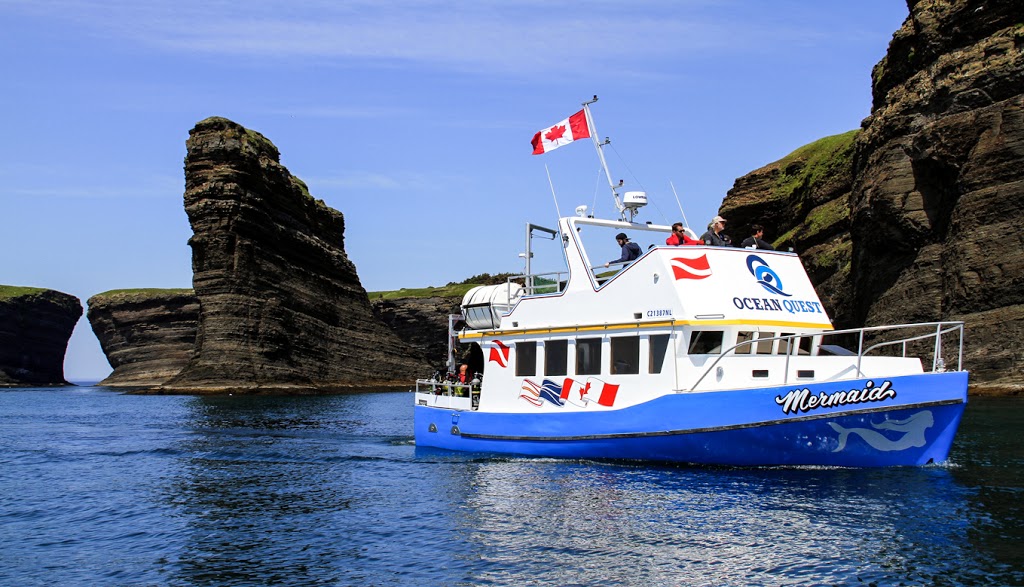 Ocean Quest Adventures | 40 OLeary Ave, St. Johns, NL A1B 2C7, Canada | Phone: (709) 834-7234