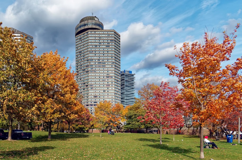 Harbour Square Park | 25 Queens Quay W, Toronto, ON M5J 2G4, Canada | Phone: (416) 392-2489