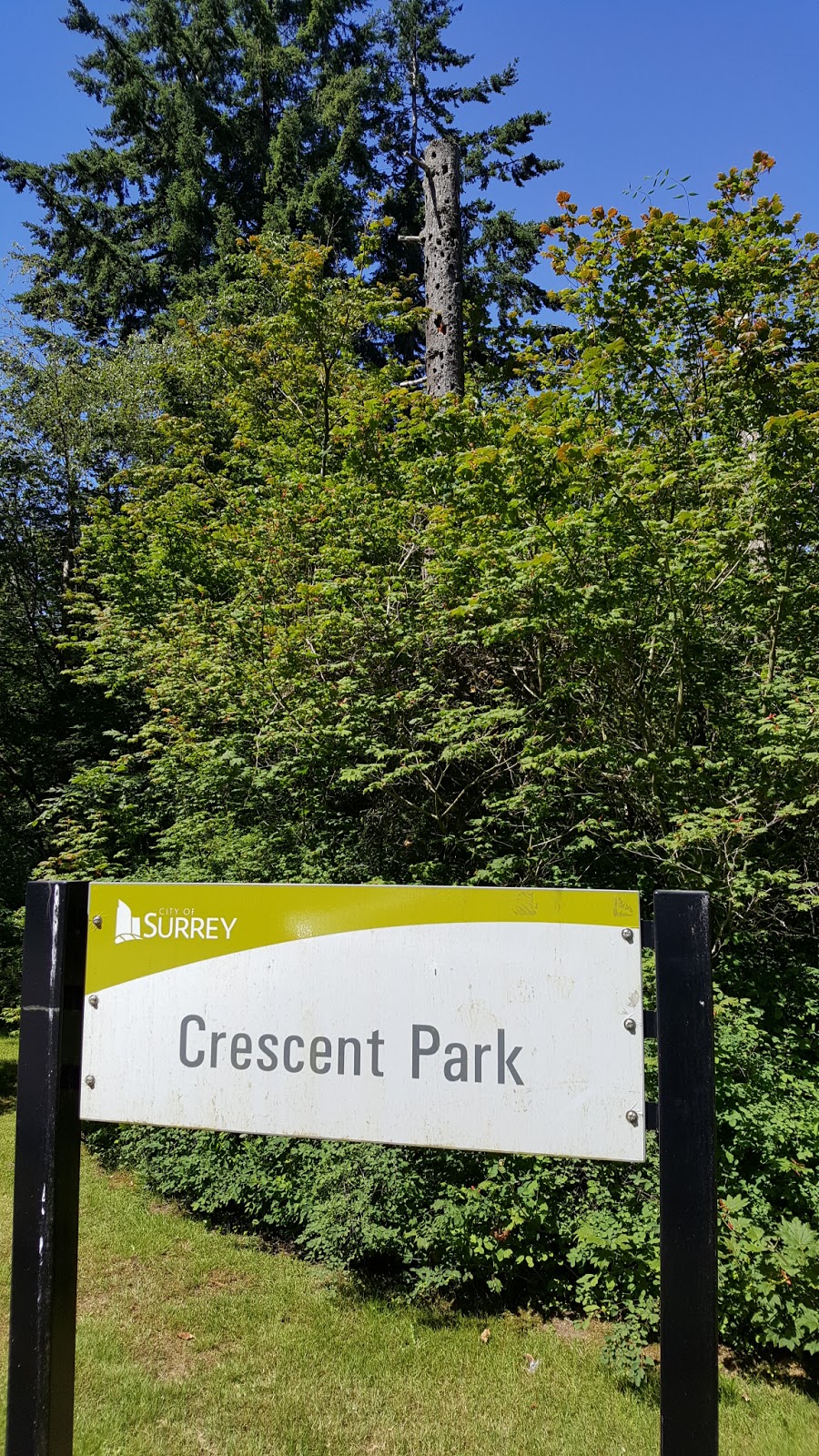 Crescent Park - Sports Field | 2585 132 St, Surrey, BC V4P 1X4, Canada | Phone: (604) 501-5050