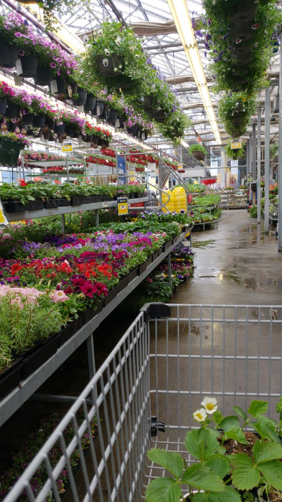 Home & Garden RONA | 1711 Springfield Rd, Kelowna, BC V1Y 5V5, Canada | Phone: (250) 762-7389