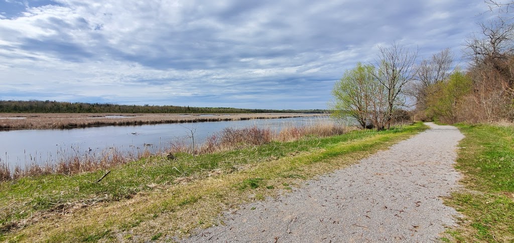 Imagine the Marsh Conservation Area | DEyncourt St, Lakefield, ON K0L 2H0, Canada | Phone: (705) 745-5791