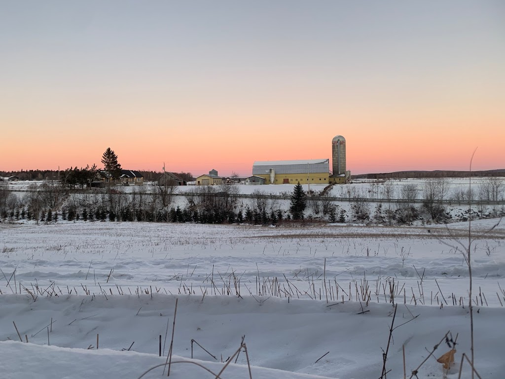 Ferme Fertilys | 860 QC-352, Sainte-Thècle, QC G0X 3G0, Canada | Phone: (418) 507-2697