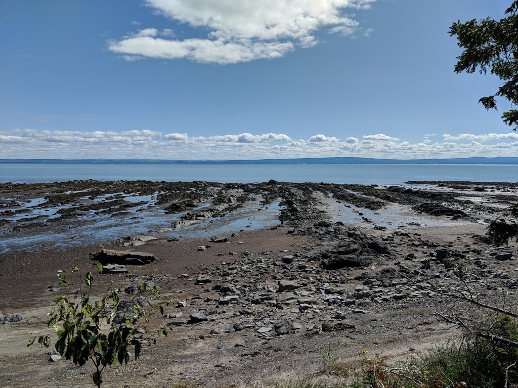 Ferme Eboulmontaise | 2593 Route du Fleuve, Les Éboulements, QC G0A 2M0, Canada | Phone: (418) 633-6767