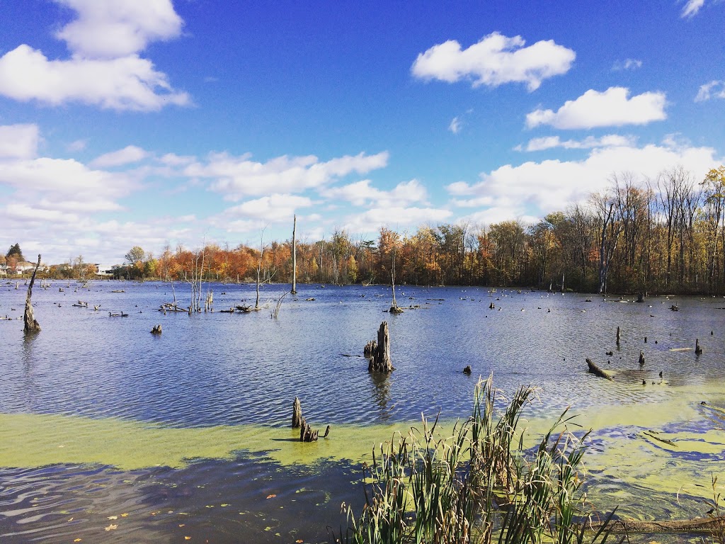 Laurentian Wetlands | 20 David Bergey Dr, Kitchener, ON N2E 4H7, Canada