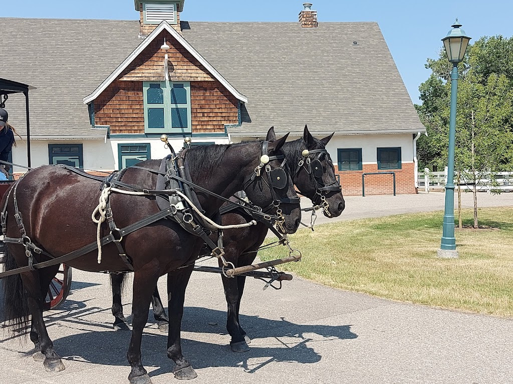 Remington Carriage Museum | 623 Main St, Cardston, AB T0K 0K0, Canada | Phone: (403) 653-5139