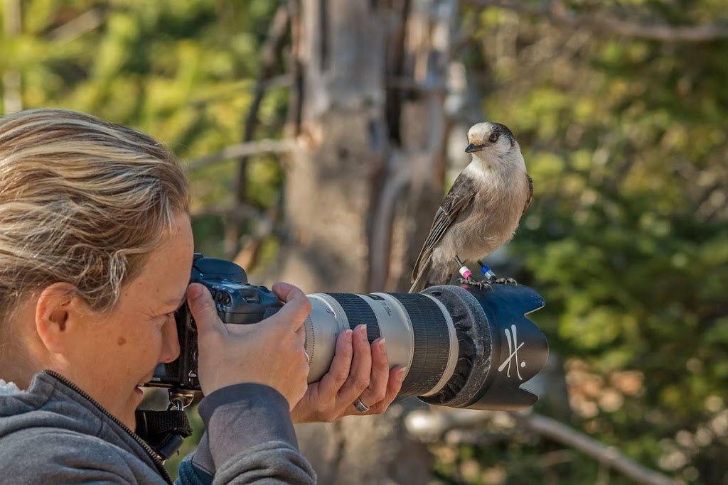 Helen E. Grose Photography | 1736 Falkenburg Rd, Bracebridge, ON P1L 1X4, Canada | Phone: (705) 801-6161