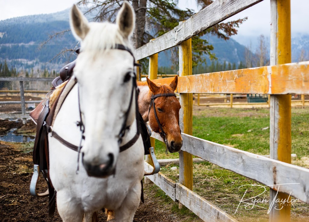 Banff Trail Riders - Stables | 100 Sundance Rd, Banff, AB T1L 1B9, Canada | Phone: (403) 762-4551